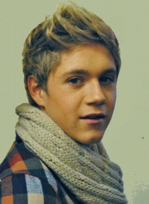 niall-horan-image_large