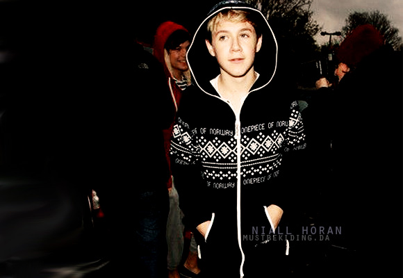 niall_horan__display_2_by_mustbekiding-d3d1tiz